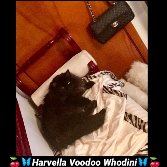 🍒🦋I CLOSE DEALS🍒IN HEELS🦋🍒 - Picture 6 of 6